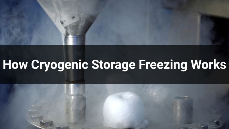 How Cryogenic Storage Freezing Works